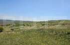 Teren extravilan, 61500 mp, zona Stejeris - 3