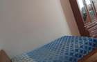 Închiriere apartament cu o camera zona Dacia Timisoara  - 3