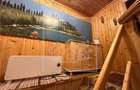 Casa de vacanta in Cartisoara, Transfagarasan - teren 971 mp, 8 camere - 24