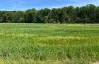 LOT TEREN INTRAVILAN / INVESTITIE / PRETABIL CONSTRUCTIE CASA VACANTA/LOCUIT - 2