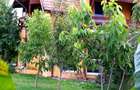 Loturi de teren pentru constructii de case in Paradise Valey - 14