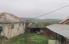 De vanzare casa in Argetoaia cu teren 7.000 mp - 4