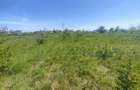 Teren intravilan, 390 MP, Malu Mare, Parcul Nicolae Romanescu - 1