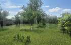 Proprietate de vanzare, teren 5488 mp, localitatea Ambud, comuna Paulesti - 10