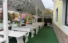 EXCLUSIVITATE! Pensiune  pretabil Spatiu comercial P+1+M  zona Siriu - 3