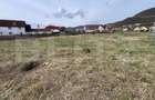 Teren Intravilan de vanzare, 4400 mp, zona Viisoara - 4