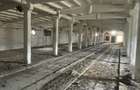 Complex industrial/Ferma de vânzare | Orțișoara, jud. Timiș - 30