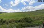 Teren intravilan de vanzare, 2900mp, Deusu Com Chinteni - 1