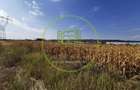 Teren intravilan de vanzare in Osorhei, 5.840 mp, cu front 3 fronturi stradale. - 3