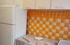 Ap 2 cam deco Grigorescu - Pta. M. Ambrozie - Parc IOR - 9