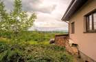 Casa Tocile 5 camere cu teren 2000 mp - 4