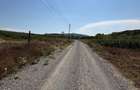 Teren 775mp intravilan Ortelec Pret 12500eur total - 5