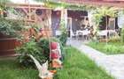 Casa de vis si afacere la cheie in  BERZASCA! - 13