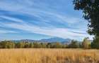 5.800 mp extravilan, Sohodol-Bran, retreat, cabane, off-grid ecoturism, panorama - 12