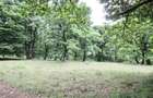 Teren de vanzare 4713 mp investitie | Poiana Brasov - 8