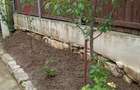 Casa 4 camere , 260 mp teren ,zona Ticau - Iasi - 7