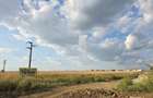Teren intravilan &icirc;n orașul Măgurele, la limita cu Bucureștiul - 5