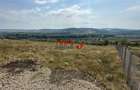 Teren pentru relaxare și agricultură în Barabant, Alba Iulia – Ex - 5