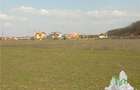 Teren 27000mp langa Padurea Baneasa Bucuresti - 4