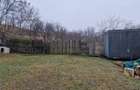 Vila P+E si teren intravilan 1,5Ha,cu zavoi+iaz,lac peste si livada-investitie - 4