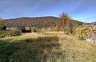 Teren Intravilan Bunloc - 10