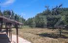 Casa 500 mp, spatiu comercial 122 mp, teren  7900mp - Botiz - 5