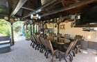 Vila 6 Camere - Domnesti - 6