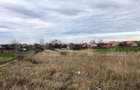 Teren intravilan 3.800 mp, zonă liniștită, Malu Mare - 4