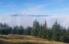 Teren extravilan, 50.000 mp, zona Vatra Dornei