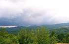 Teren cu Padure in Bulzestii de Sus 4200mp - 1
