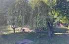 Teren de vanzare, 2987 mp, comuna Cornu - 4