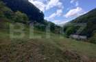 Cabana 3 cam,2 nivele 100 mp+teren extravilan 2,5 ha+1 ha padure, langa Nasaud - 11