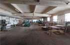 Royal Imobiliare - Vanzare Spatiu Industrial zona Exterior Est - 5