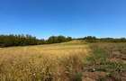 TEREN INTRAVILAN PANORAMIC, CU AUTORIZATIE CONSTRUCTIE, 800 MP, CIUGUD - 2