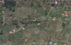 De vânzare teren extravilan, 11,600 mp, Salonta - 3