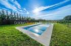 Vilă moderna Corbeanca - Piscina - 13