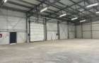 Hala de inchiriat depozitare si productie 1550 mp. Mogosoaia - Buftea - 11