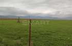 Teren  intravilan cu PUZ 30.000 mp Prejmer - 2