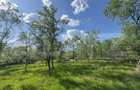 Teren intravilan de vanzare, 15080 mp, zona Tătărăști - 5