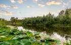 Teren Lacul Snagov 1.976 mp | 19,18 m front la lac | Vilă P+1 | 0% com - 2