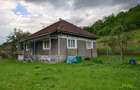 1.3 haTeren si  Casa Luncoiu de Jos - 9