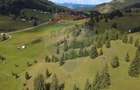 Teren de 14318m.p. în Paltinis, la 100m de strada Principala - 3