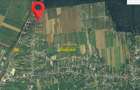 Teren intravilan Peris 10.000 mp pt complex de case - 5