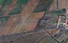 Teren intravilan de vanzare cu PUZ aprobat, cu vad la E671, Oradea - Nojorid - 4