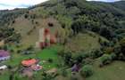 Teren de investiție în Moieciu, lângă Castelul Bran – 11.381 mp, vedere Bucegi - 13