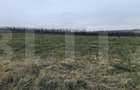 Teren intravilan 750 mp in Sopor -  Cluj Napoca, front 29m - 2