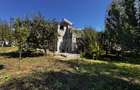 casa P+1 de vanzare-valea budului, Teren 1350 mp - 16