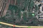 Teren Isalnita, 2461 mp, oportunitate investiție - 1
