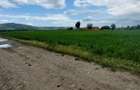 Teren intravilan de vanzare in Tg Trotus - 5