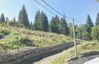 Teren intravilan, 5.000 mp, zona Câmpulung Moldovenesc - 2